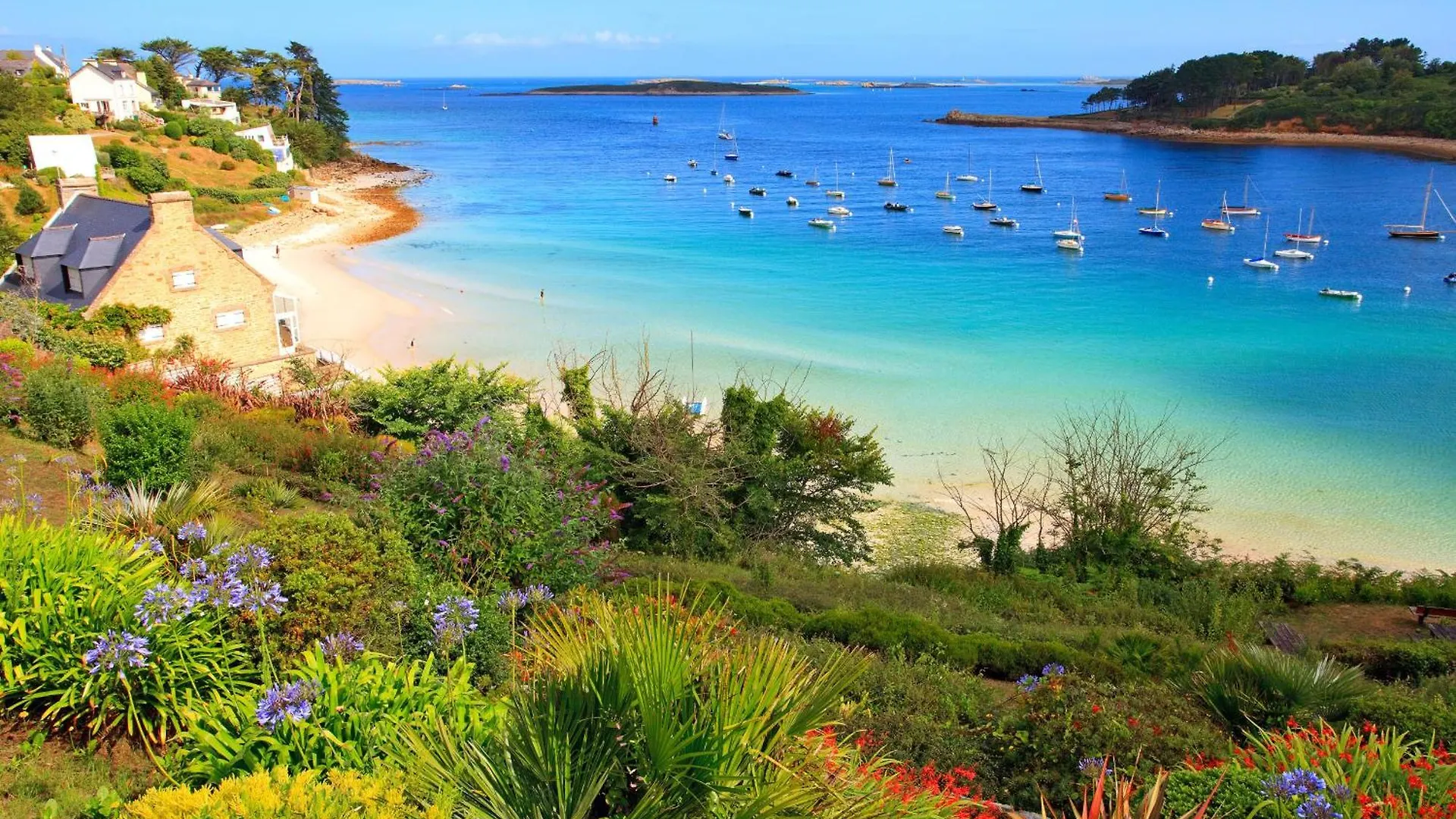 Roscaroc Enez Karn - Joli T2 Vue Mer Proche Plage Ploudalmézeau 0*,